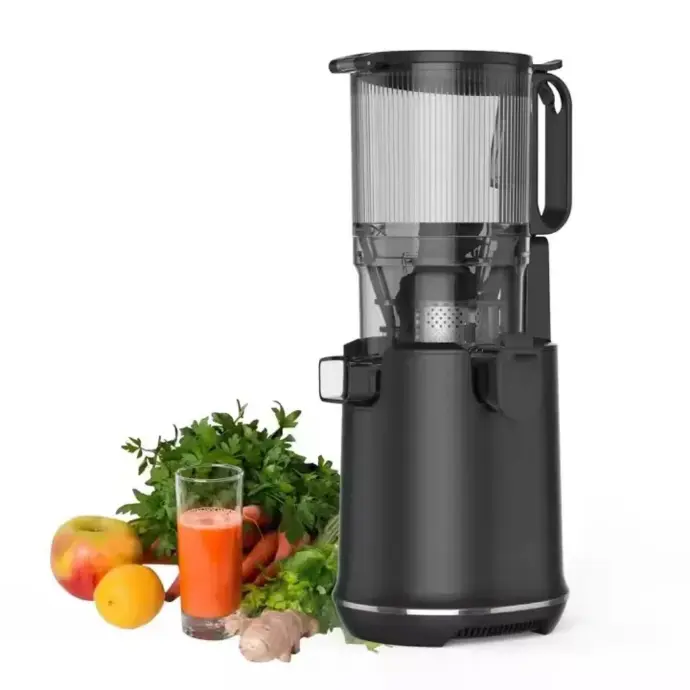 AOBOSI Slow Juicer